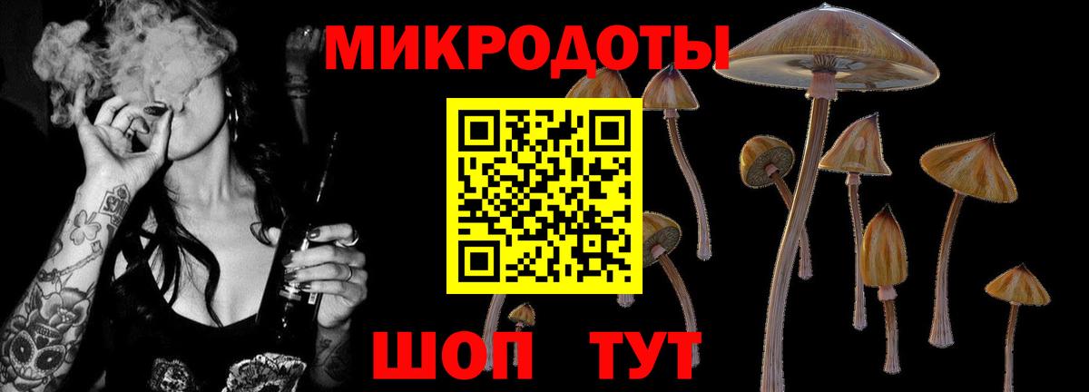 Галлюциногенные грибы Cubensis Ростов Великий